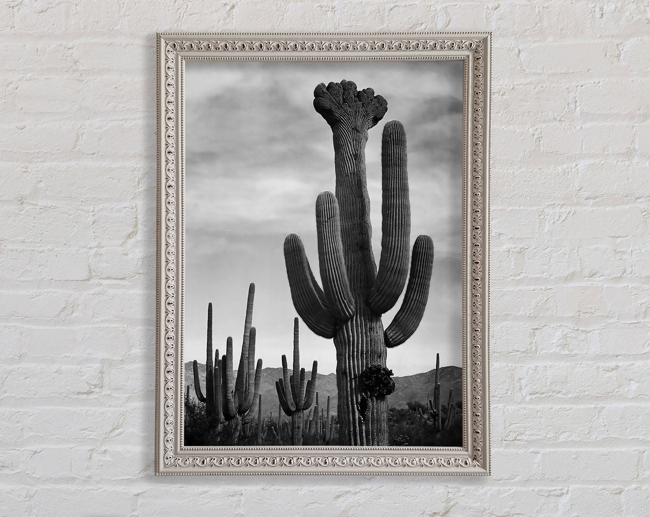 Ansel Adams Cactus In Saguaro National Monument In Arizona B n W Framed Wall Art