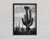 Ansel Adams Cactus In Saguaro National Monument In Arizona B n W Framed Wall Art