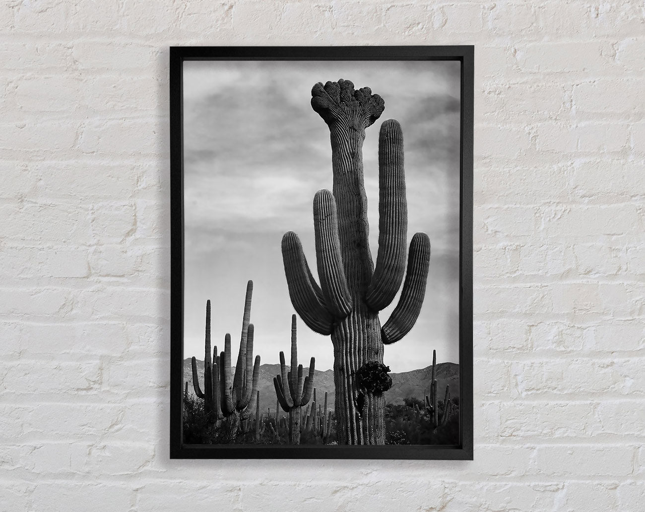 Ansel Adams Cactus In Saguaro National Monument In Arizona B n W Framed Wall Art