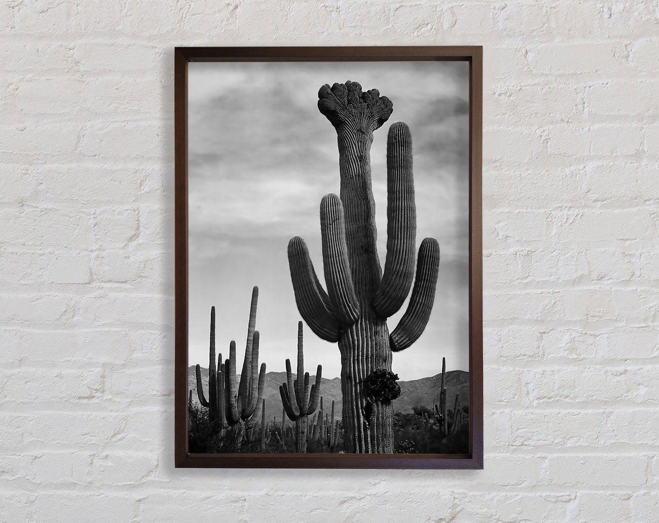 Ansel Adams Cactus In Saguaro National Monument In Arizona B n W Framed Wall Art