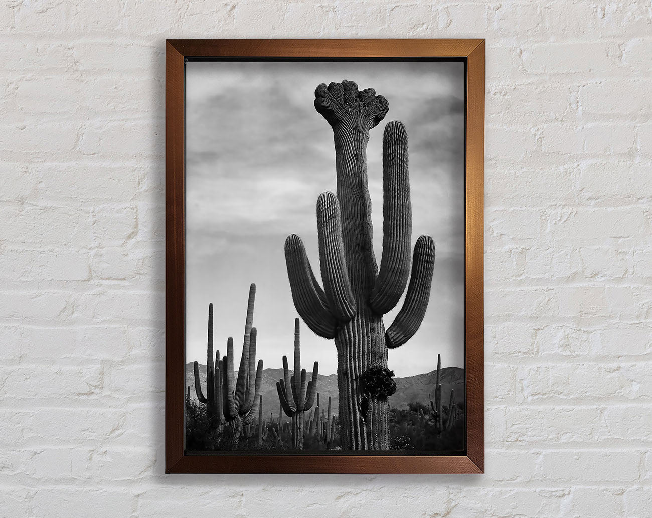 Ansel Adams Cactus In Saguaro National Monument In Arizona B n W Framed Wall Art