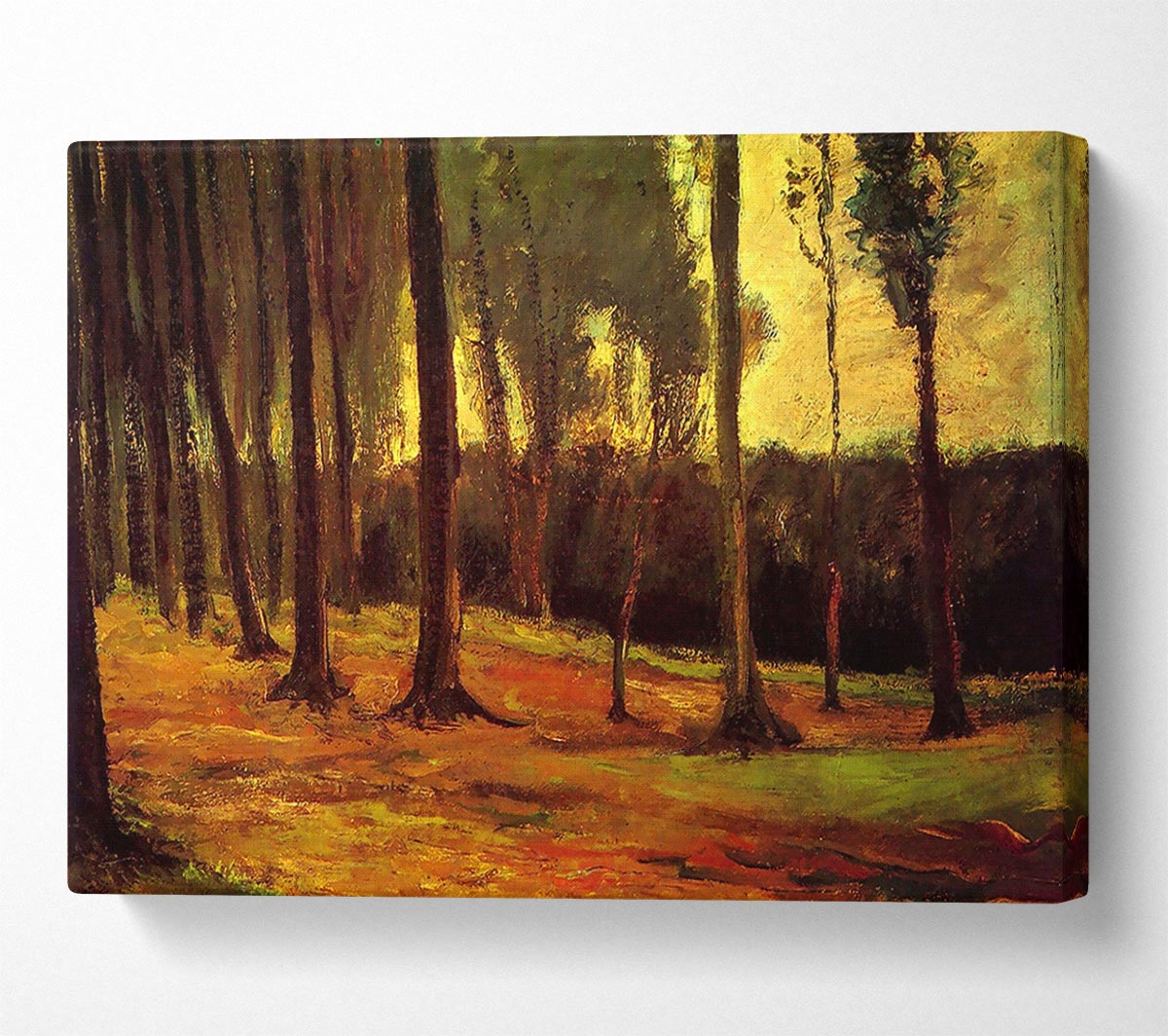 Van Gogh Edge Of A Wood Canvas Wall Art