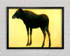 Bierstadt Elk Framed Wall Art