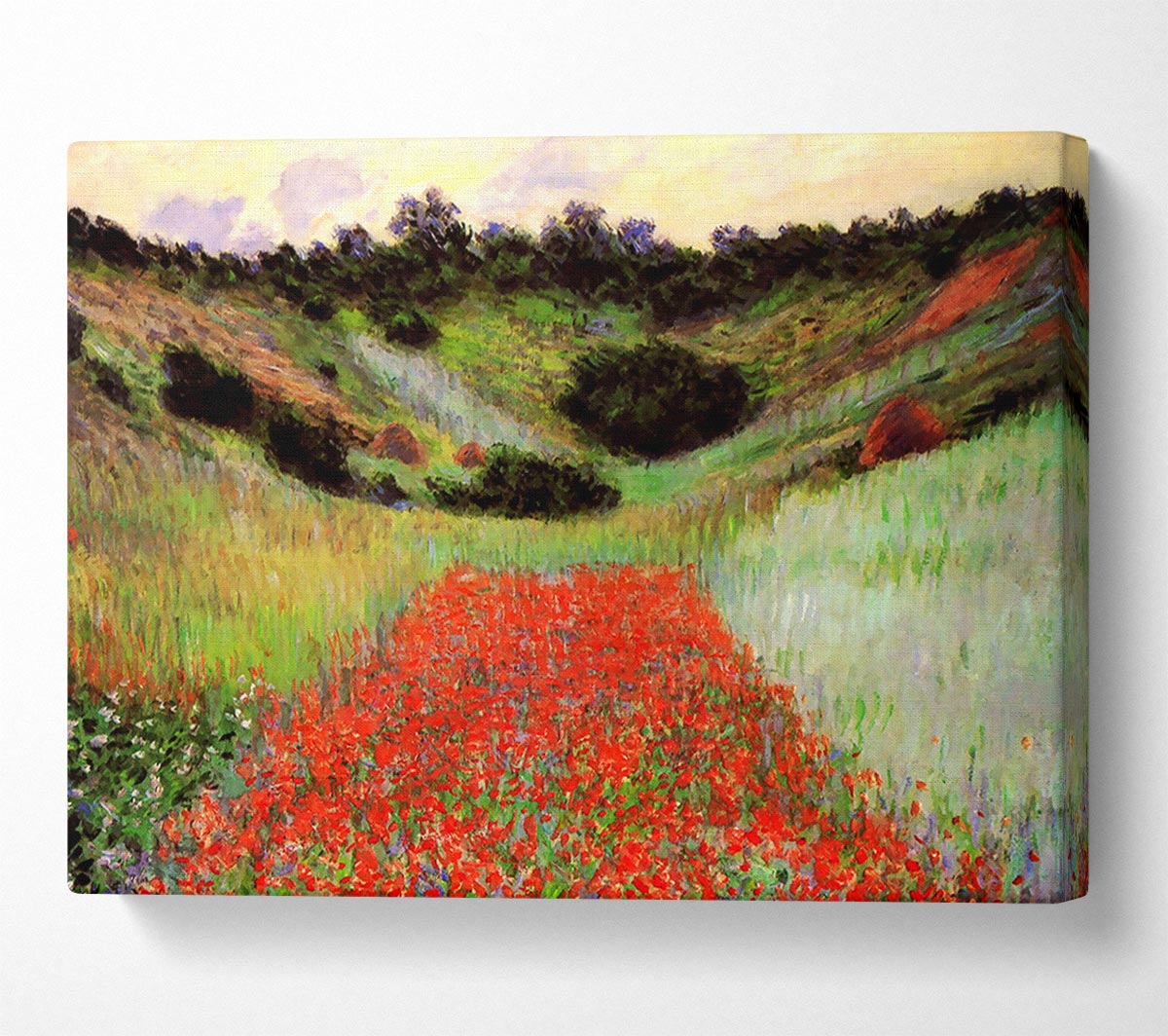 Monet Poppy Field Of Flowers In Giverny Canvas Wall Art