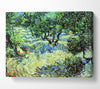 Van Gogh Olive Grove 2 Canvas Wall Art