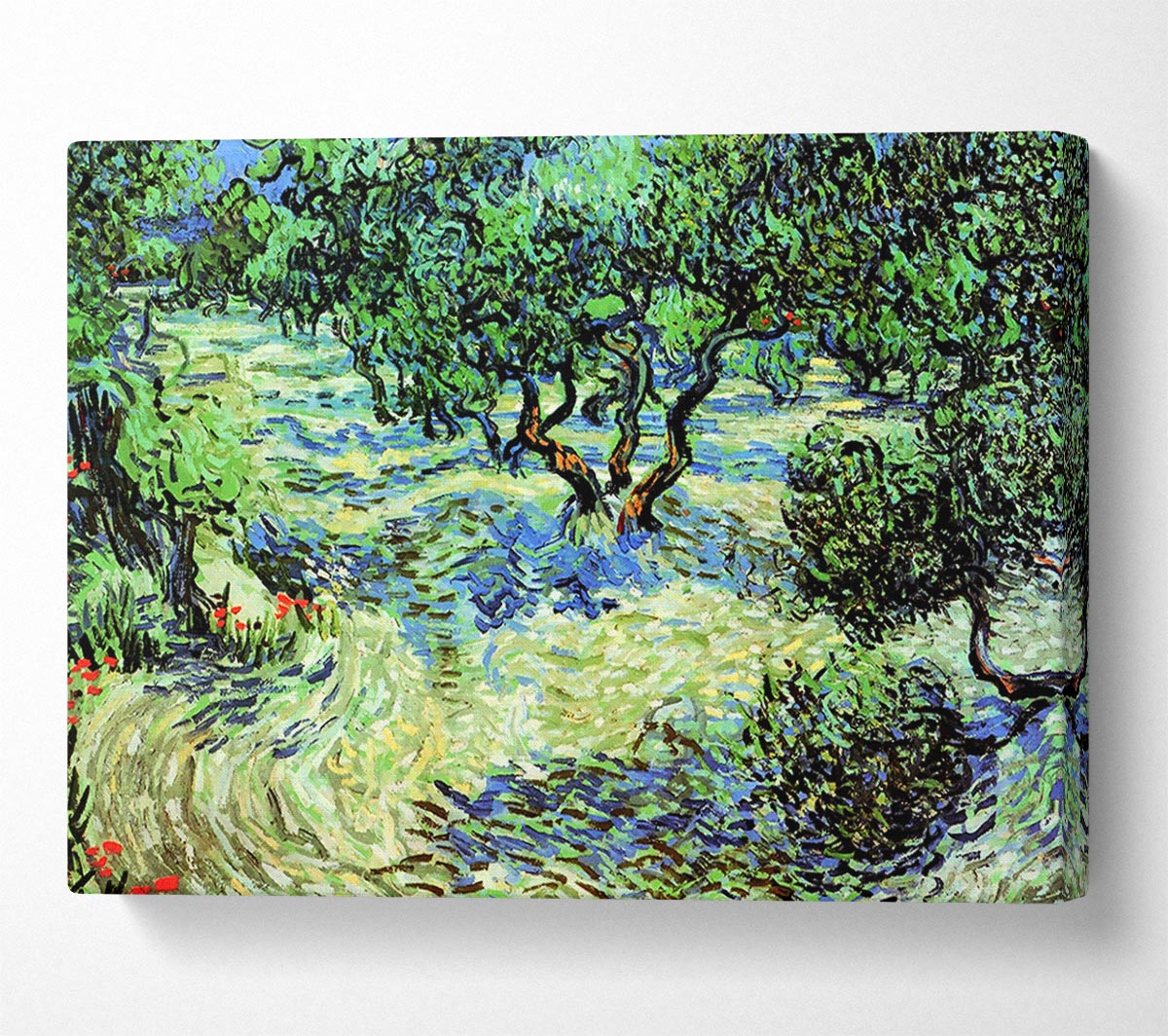 Van Gogh Olive Grove 2 Canvas Wall Art