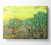 Van Gogh Olive Pickers In A Grove Canvas Wall Art
