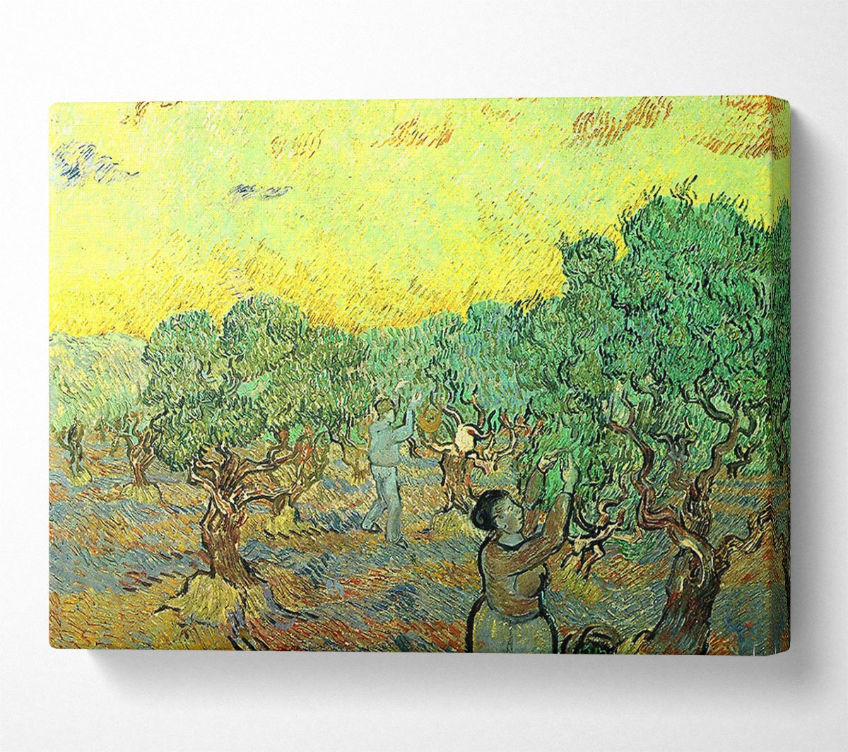 Van Gogh Olive Pickers In A Grove Canvas Wall Art
