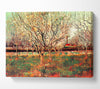 Van Gogh Orchard In Blossom Plum Trees Canvas Wall Art