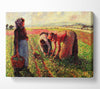 Pissarro Peas Growing In Eragny Canvas Wall Art