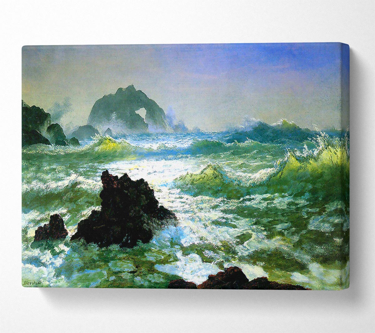 Bierstadt Seal Rock 2 Canvas Wall Art