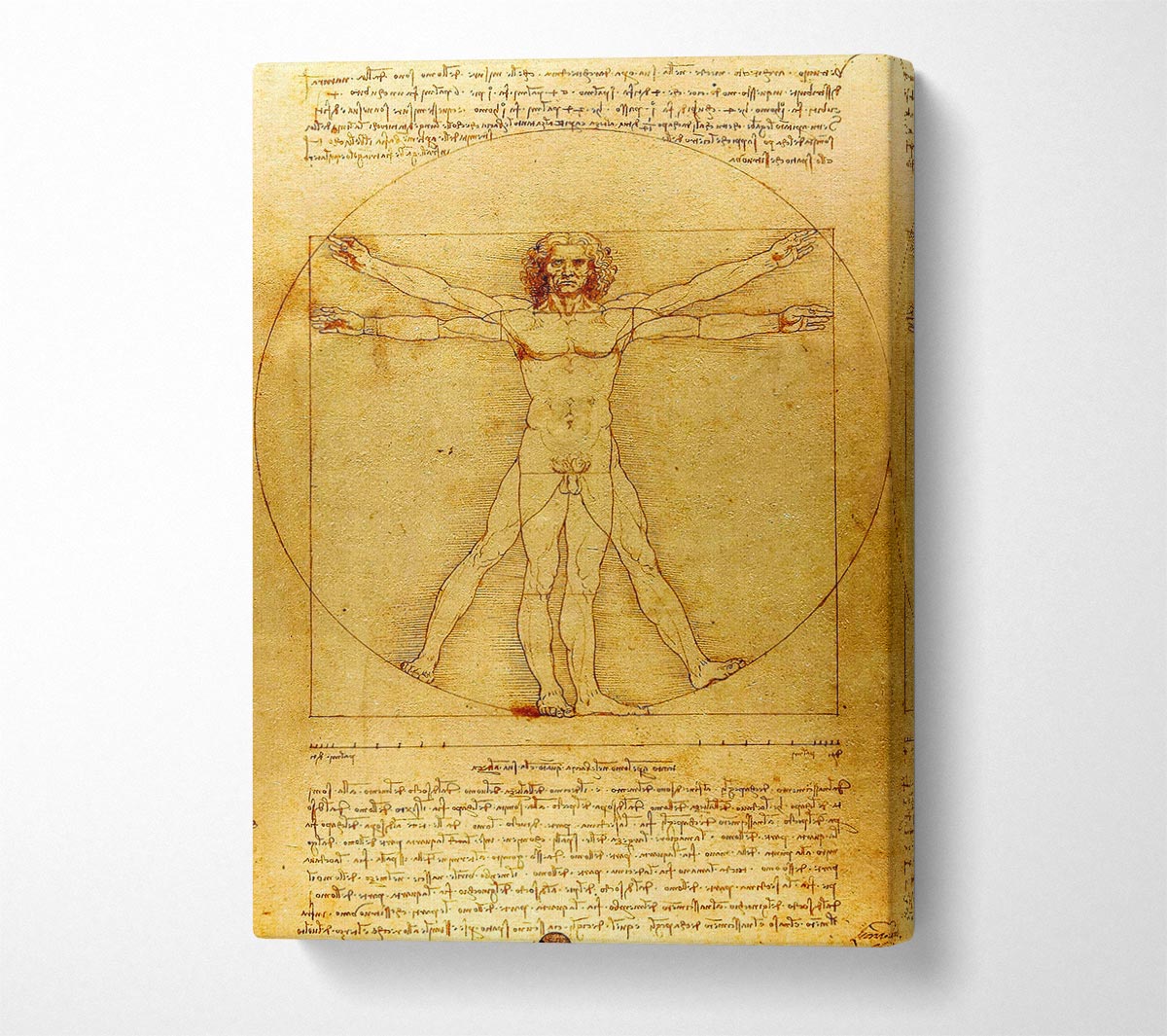 The Da Vinci Code Canvas Wall Art