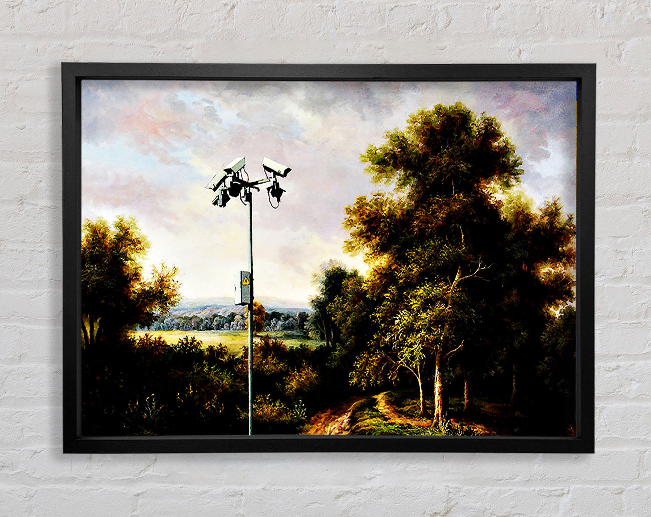 Countryside Cctv Framed Wall Art