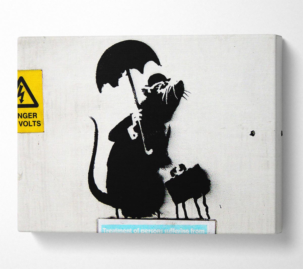 Electrical Rat Canvas Wall Art