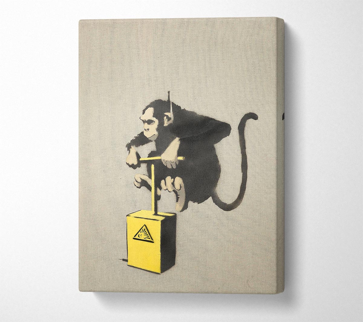 Monkey Detonator Canvas Wall Art