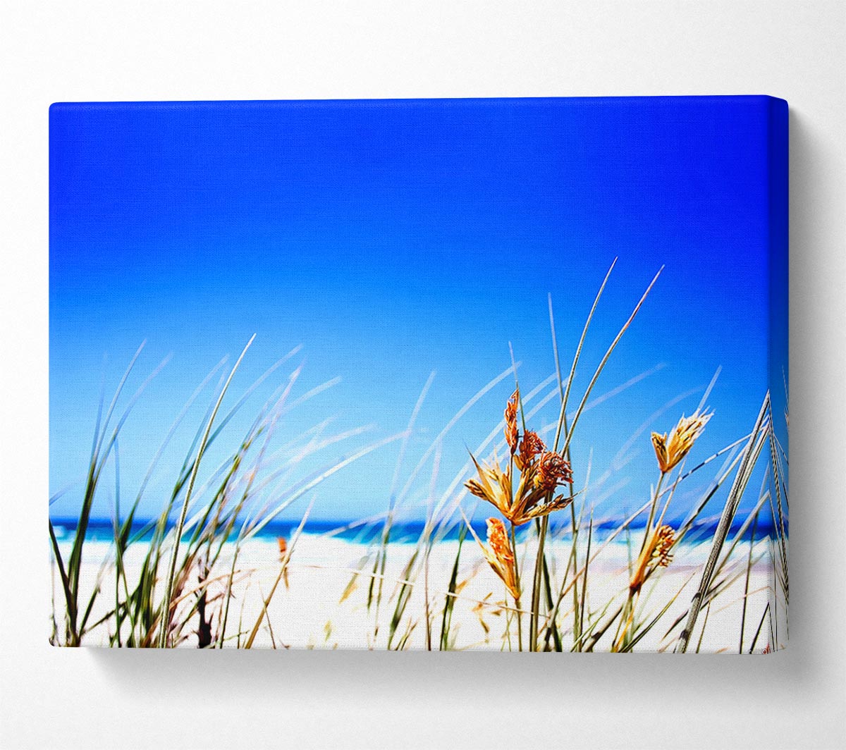 Clear Beach Sky Canvas Wall Art