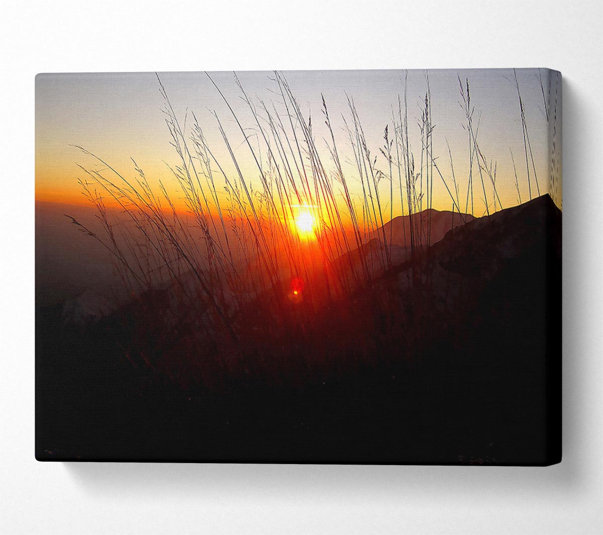 Dusk Through The Reeds Canvas Wall Art