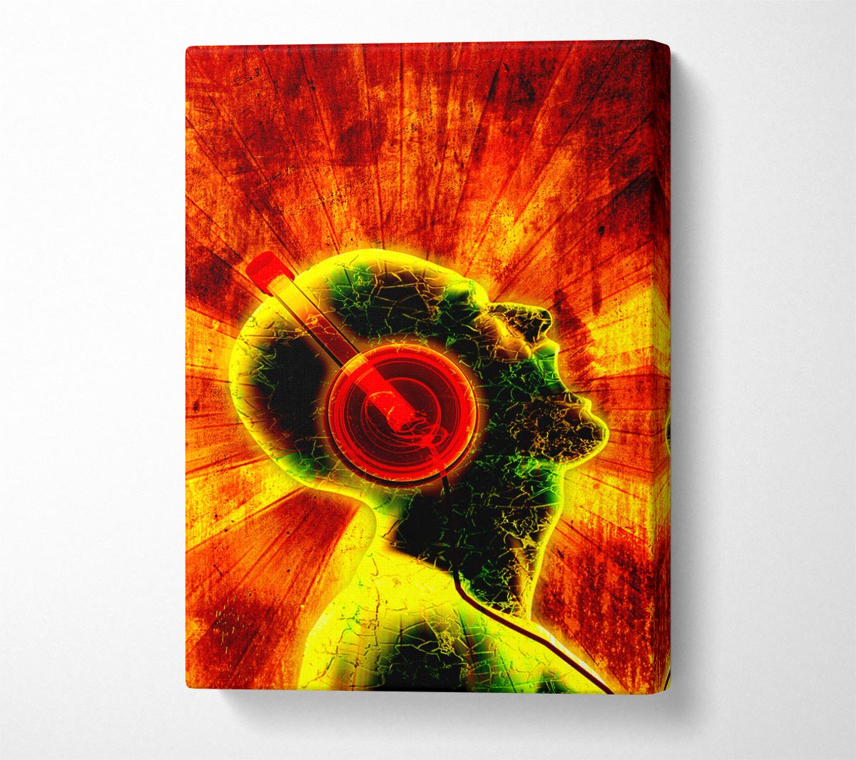 Dj Blaze Canvas Wall Art
