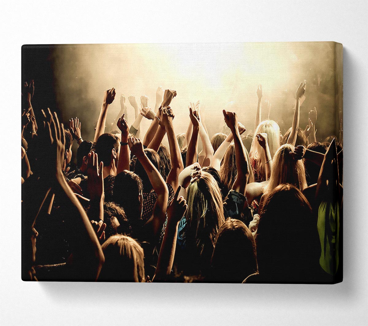 Concert Crowd Canvas Wall Art