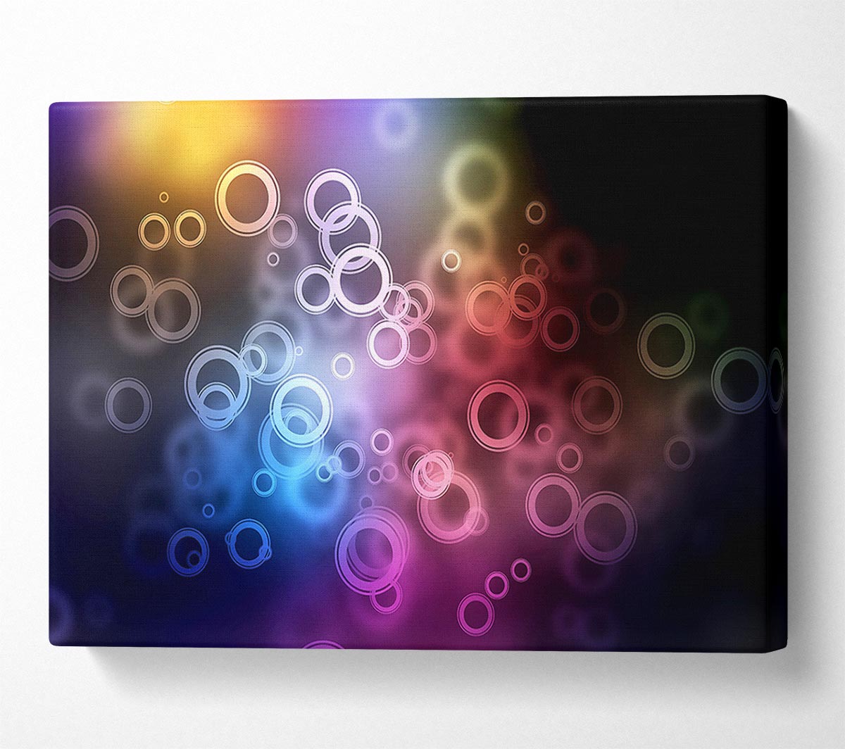 Circles Canvas Wall Art