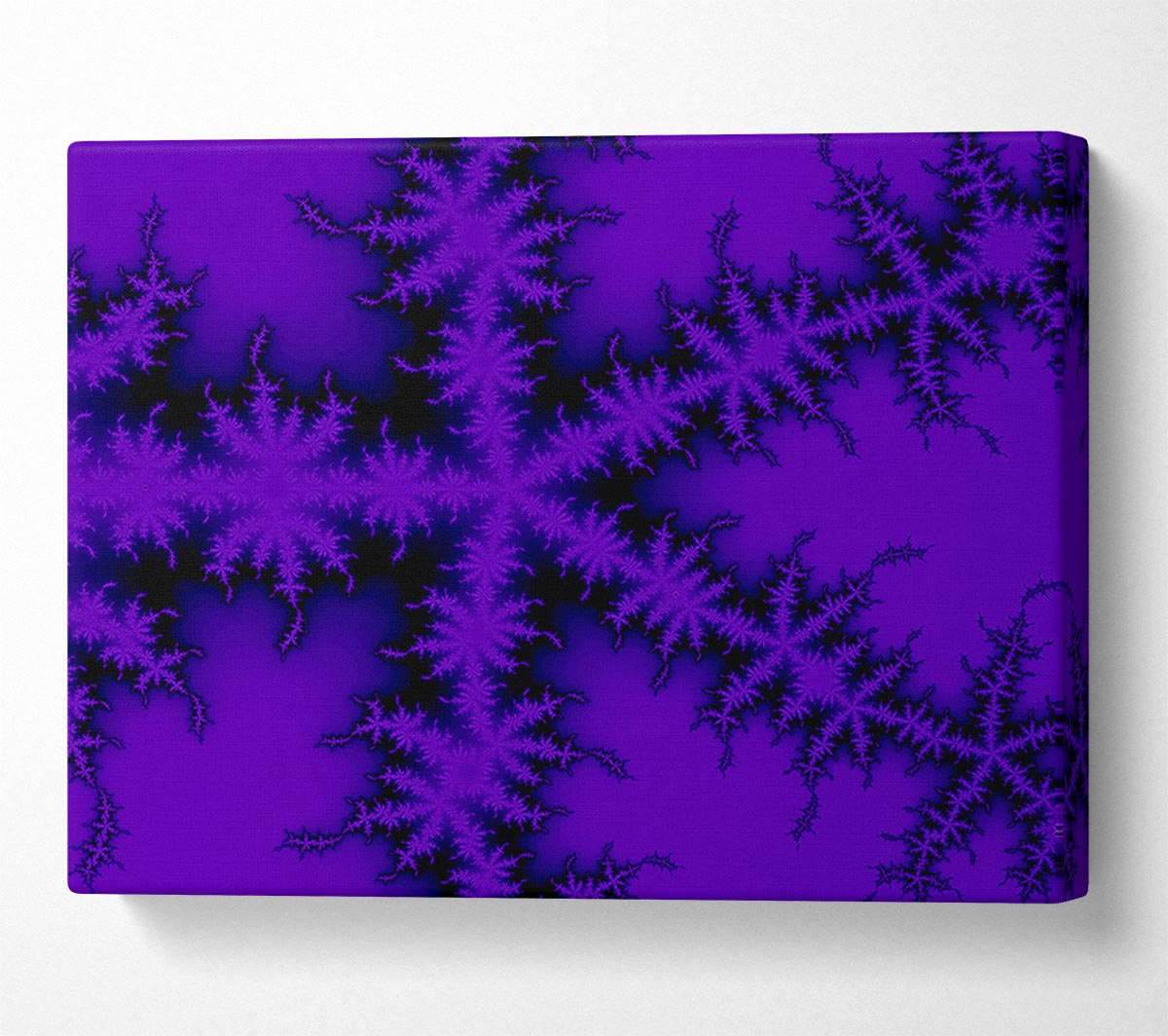 Internal Snow Flake Black On Purple Canvas Wall Art