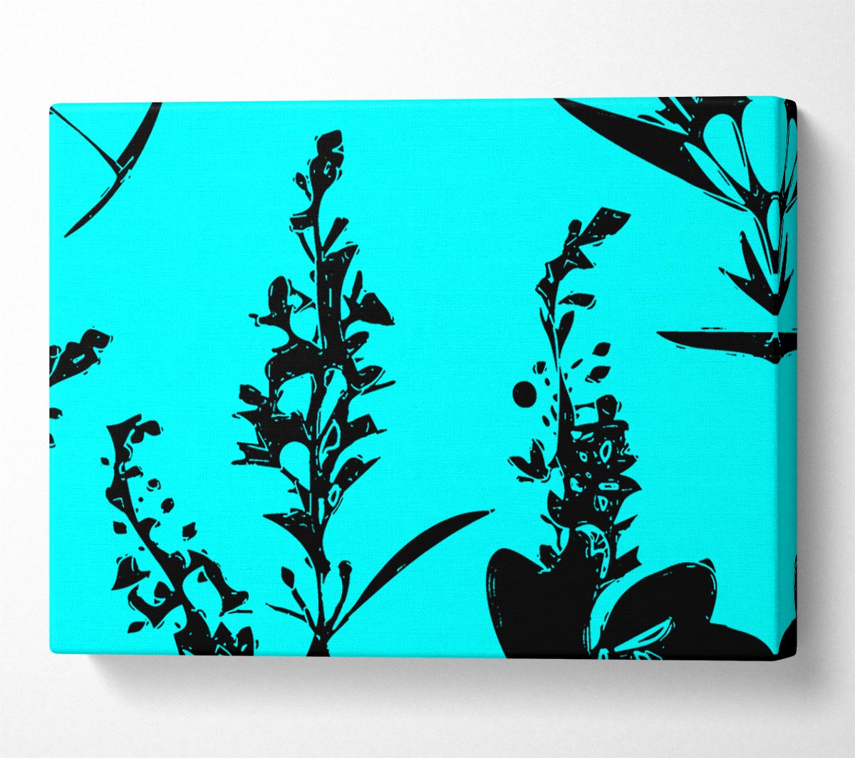 Freshness Of Beauty Aqua Black Canvas Wall Art