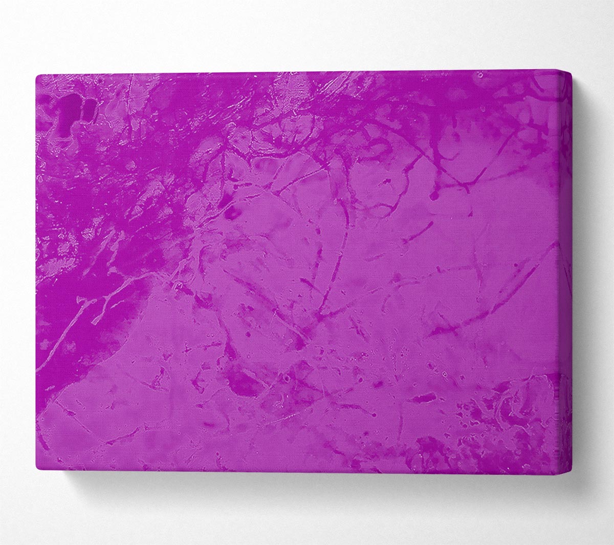 Purple On Purple Canvas Wall Art