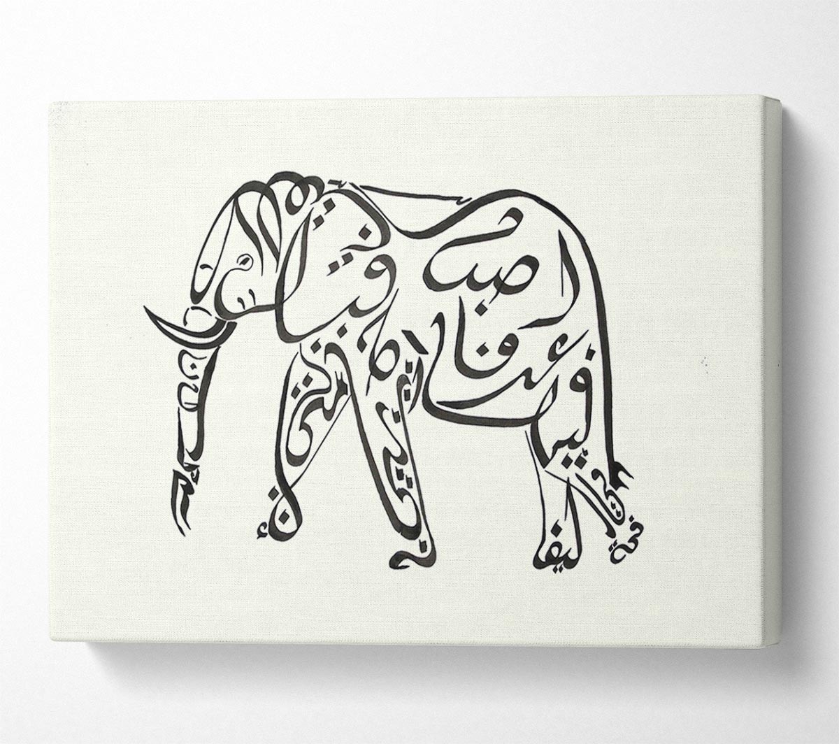 Groucho Marx Elephant Canvas Wall Art
