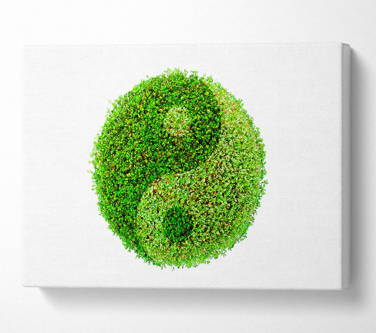 Ying And Yang Canvas Wall Art