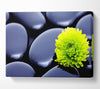 Black Zen Stones And A Yellow Mum Canvas Wall Art
