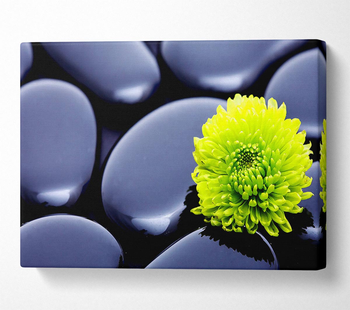 Black Zen Stones And A Yellow Mum Canvas Wall Art