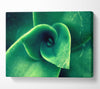 Green Light From The New Leaves Canvas Wall Art
