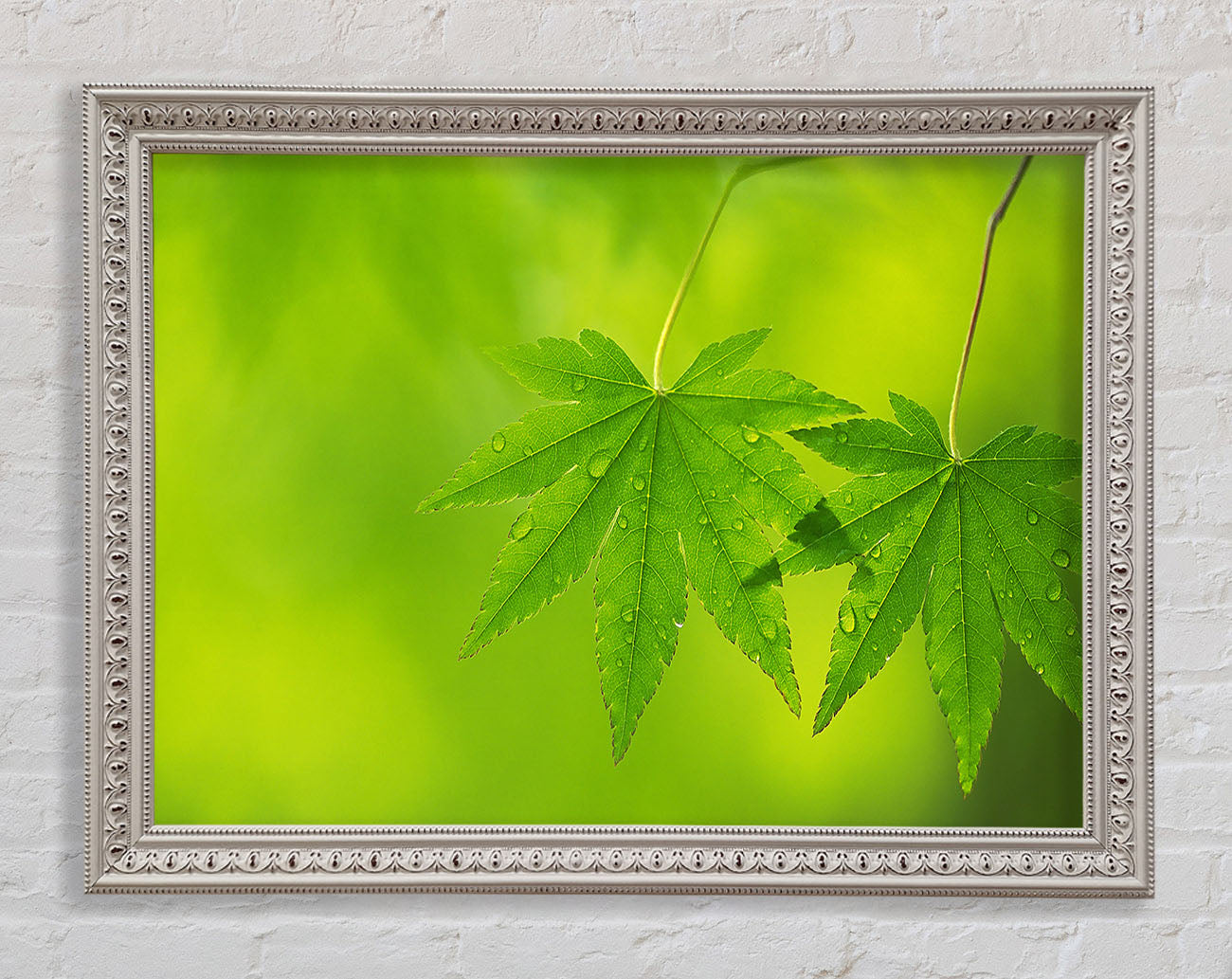 Branch With GreenDewsdrop Leaves Framed Wall Art