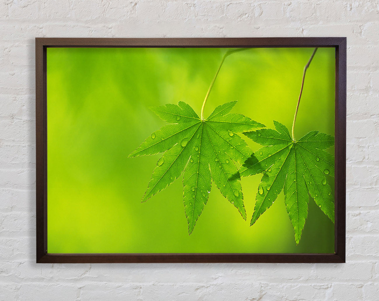 Branch With GreenDewsdrop Leaves Framed Wall Art