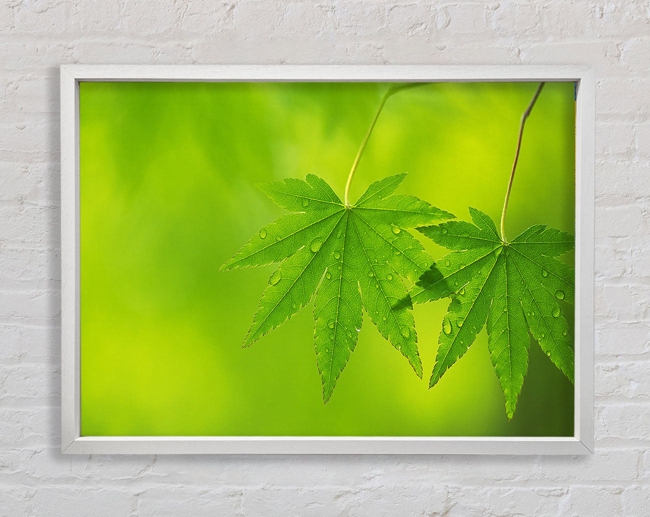 Branch With GreenDewsdrop Leaves Framed Wall Art