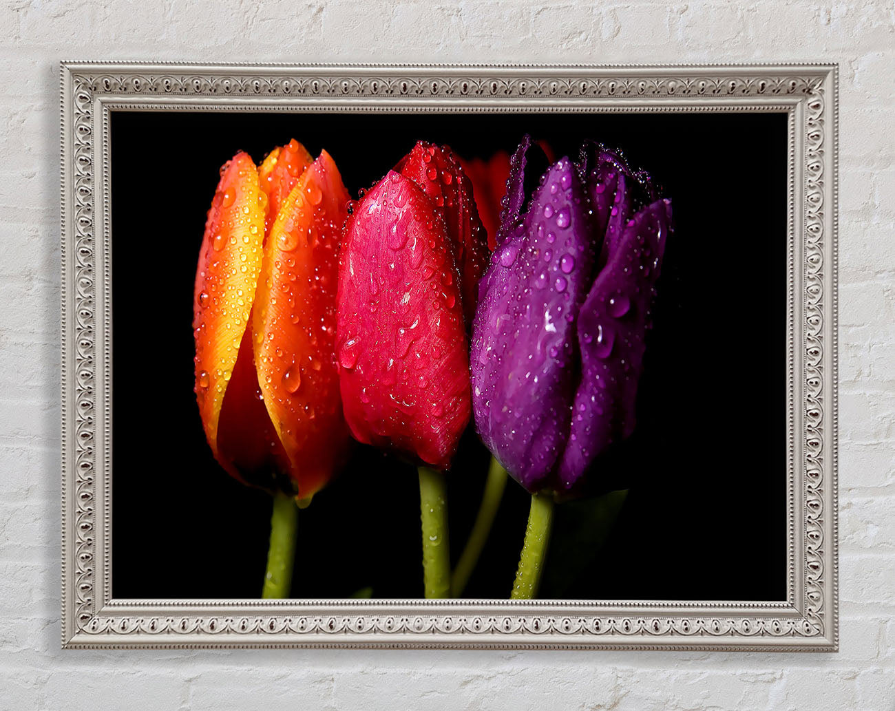Colourful Tulips Framed Wall Art