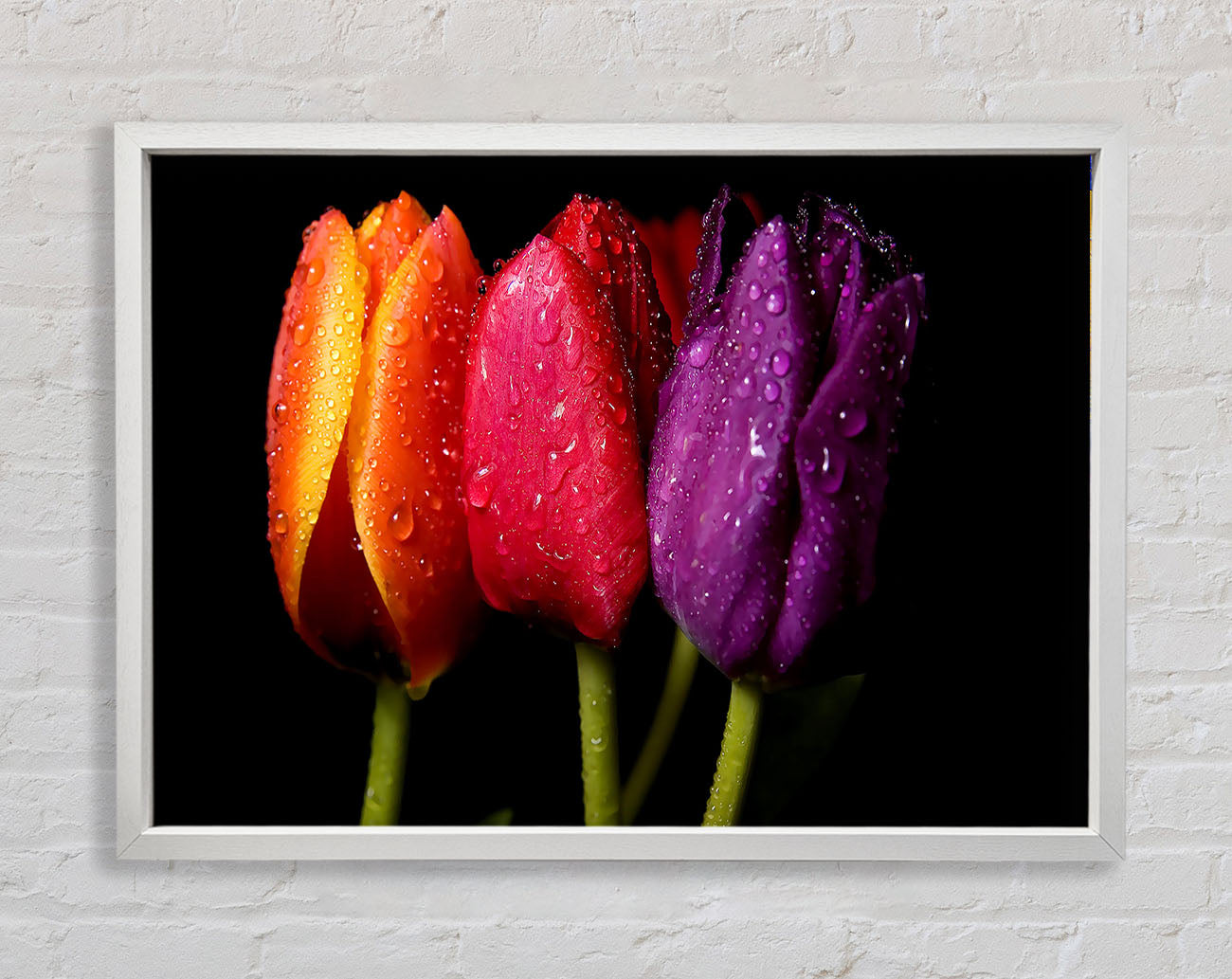 Colourful Tulips Framed Wall Art