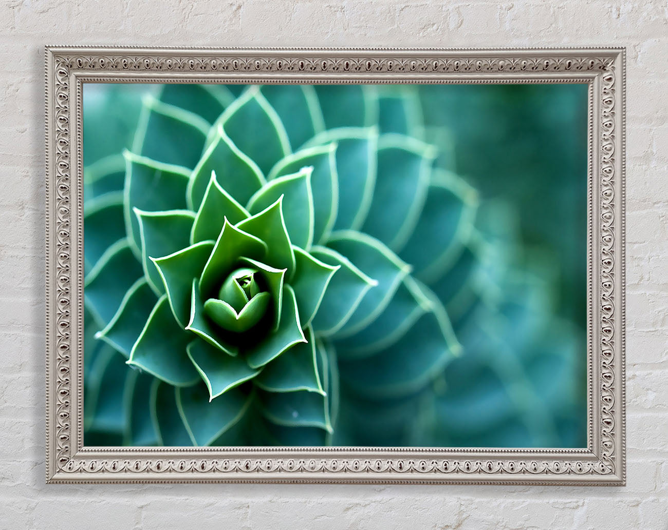 Beautiful Plant Framed Wall Art