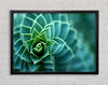 Beautiful Plant Framed Wall Art