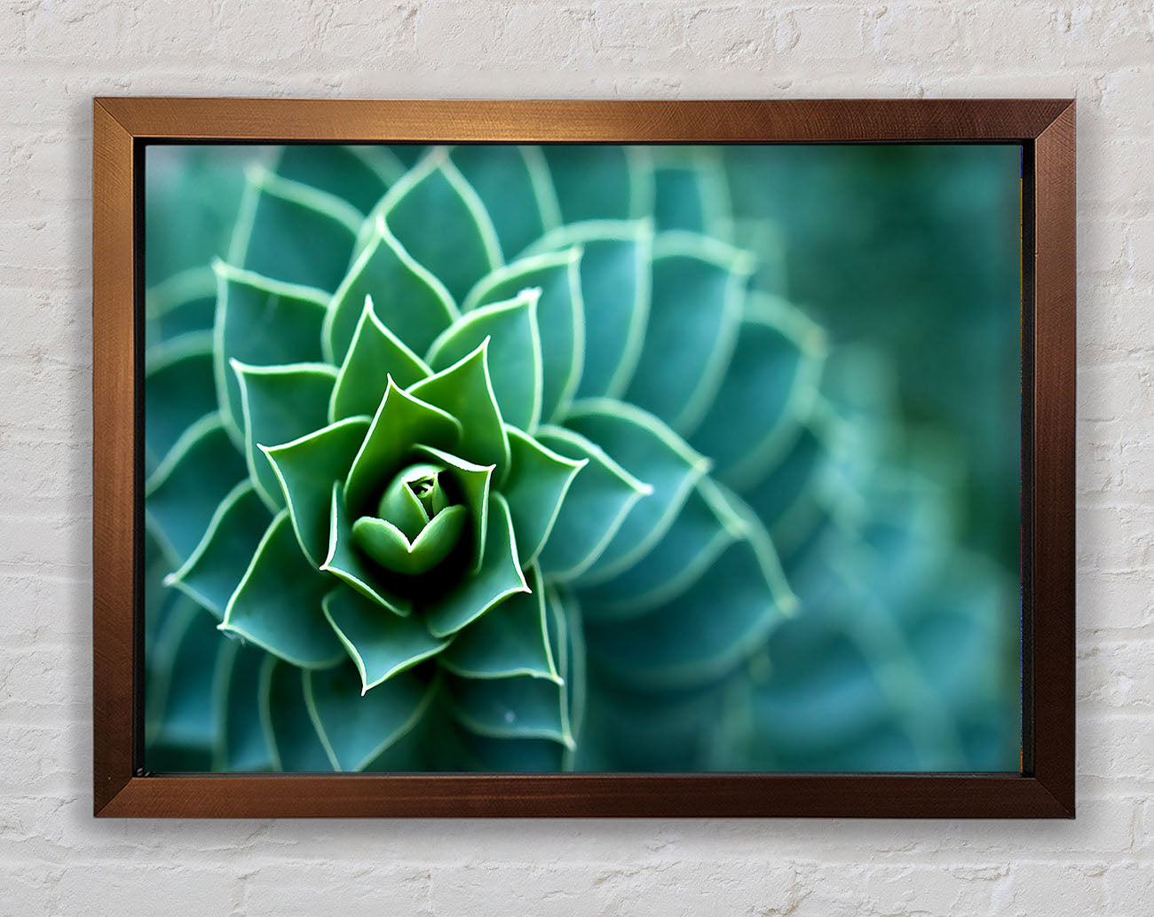 Beautiful Plant Framed Wall Art