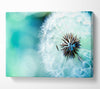 Dandelion Flower Wish Canvas Wall Art
