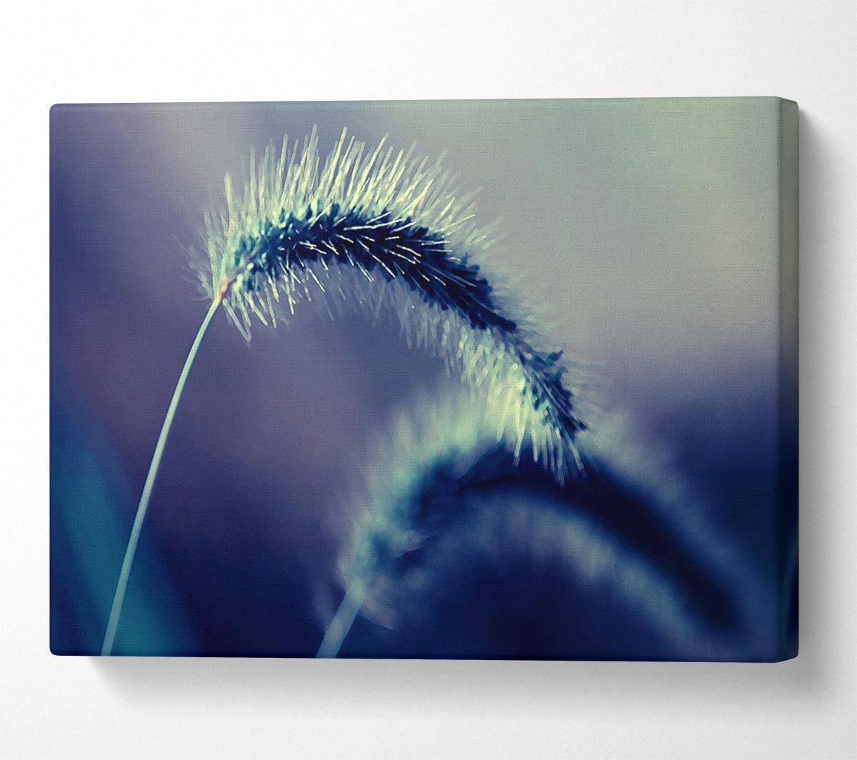 Spikelets Macro Canvas Wall Art
