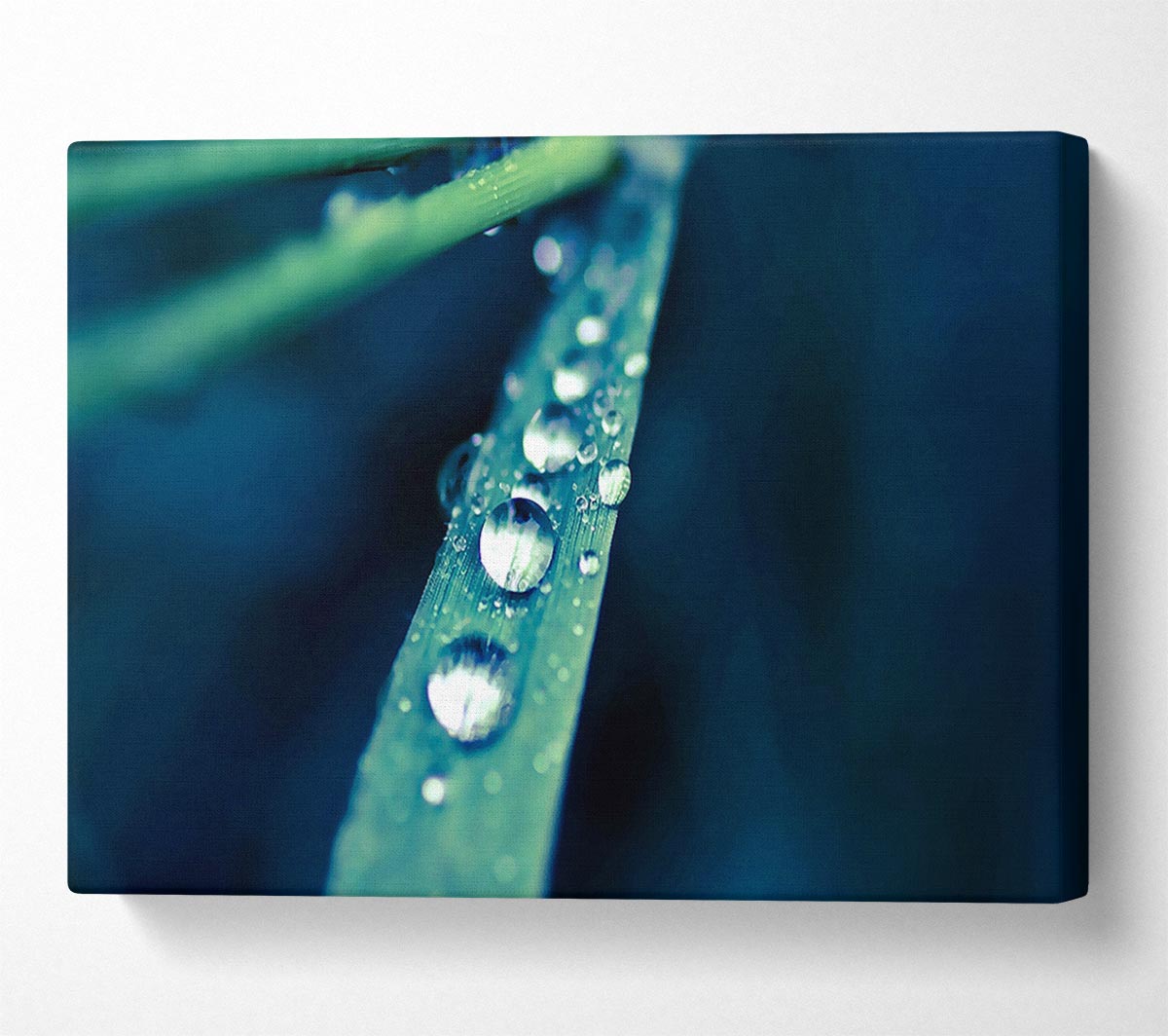 Grass Dew Macro Canvas Wall Art