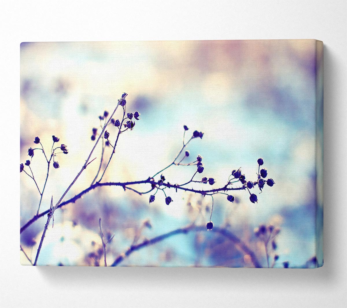 Spikey Twigs With Berries Canvas Wall Art