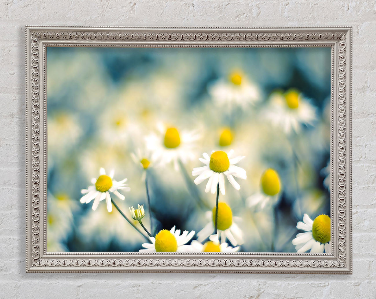 Chamomile Flowers Macro Framed Wall Art