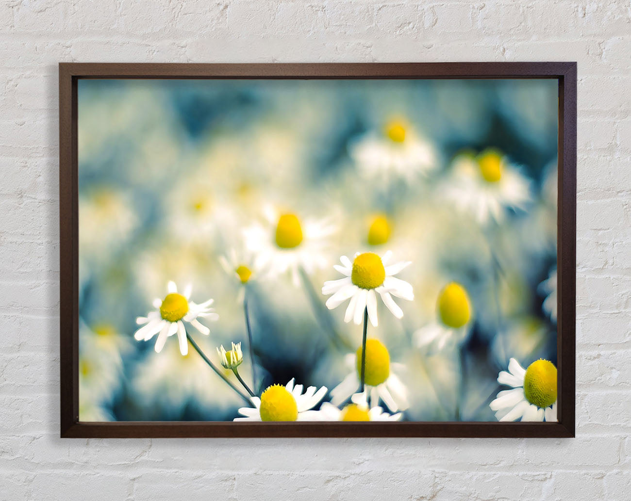 Chamomile Flowers Macro Framed Wall Art