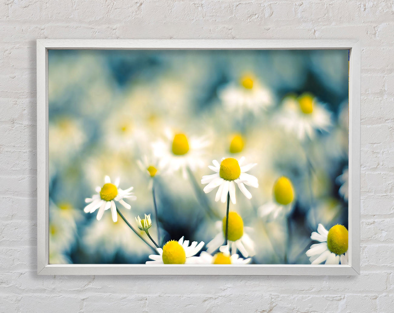Chamomile Flowers Macro Framed Wall Art