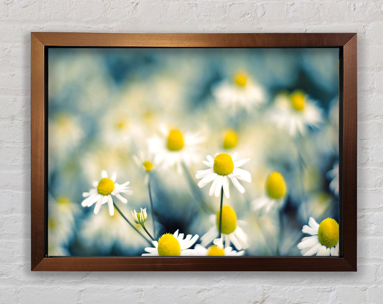 Chamomile Flowers Macro Framed Wall Art