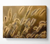 Bundle Of Ears Canvas Wall Art