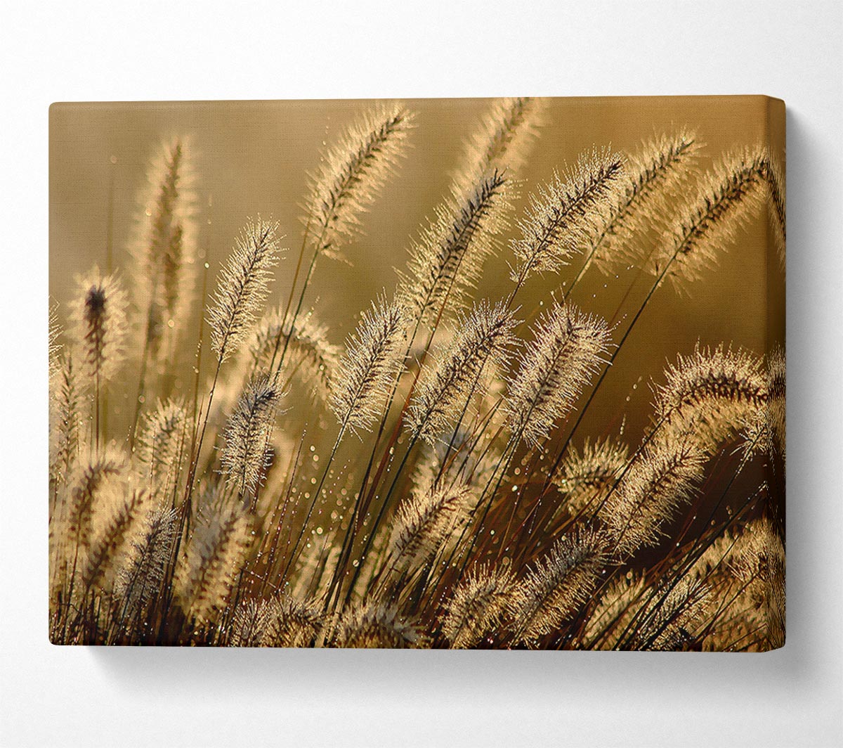Bundle Of Ears Canvas Wall Art